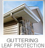 Guttering & Leaf Protection
